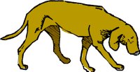 ACW00256.WMF