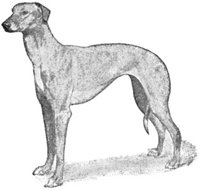ACV50096.JPG