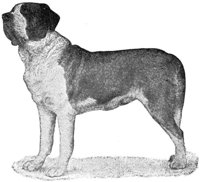 ACV50095.JPG