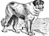 ACV50092.JPG