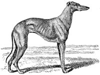 ACV50090.JPG