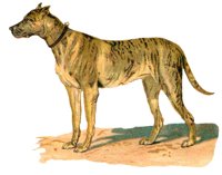 ACV50076.JPG