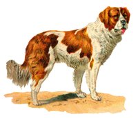 ACV50075.JPG