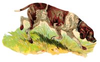 ACV50074.JPG