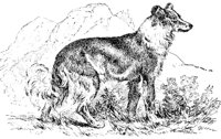 ACV50033.JPG