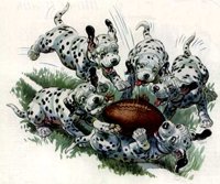 ACU50058.JPG