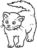 ACT50217.TIF