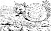 ACT50208.TIF