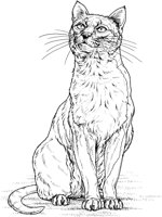 ACT50199.TIF