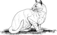 ACT50198.TIF