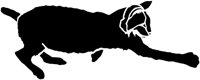 ACT50197.TIF