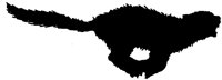 ACT50183.TIF