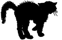 ACT50182.TIF