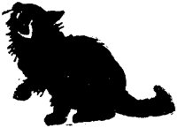 ACT50170.TIF