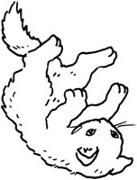 ACT50117.TIF