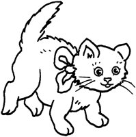 ACT50114.TIF