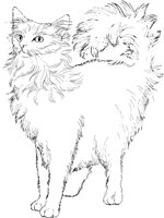 ACT50099.TIF