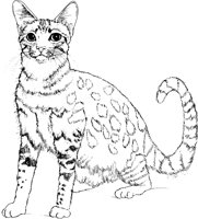 ACT50098.TIF