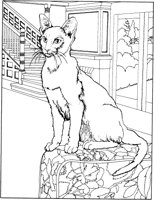 ACT50097.TIF