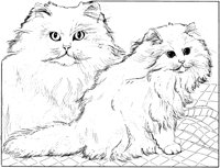 ACT50095.TIF