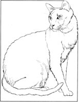 ACT50093.TIF