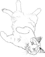 ACT50092.TIF