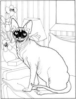 ACT50088.TIF