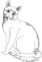 ACT50087.TIF