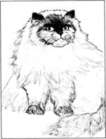 ACT50086.TIF
