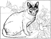 ACT50084.TIF