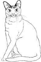 ACT50083.TIF