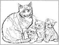 ACT50081.TIF