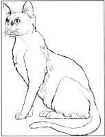 ACT50079.TIF