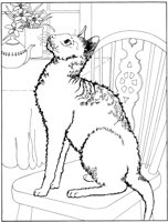 ACT50077.TIF