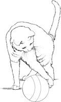 ACT50076.TIF