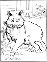 ACT50074.TIF