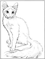 ACT50072.TIF