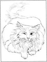 ACT50069.TIF