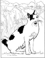 ACT50065.TIF