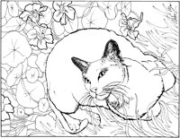ACT50064.TIF