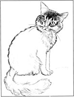ACT50063.TIF