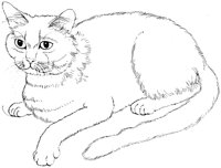 ACT50062.TIF