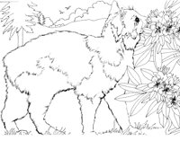 ACT50061.TIF