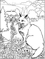 ACT50058.TIF