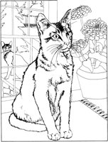 ACT50057.TIF