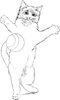 ACT50055.TIF