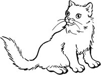 ACT50053.TIF