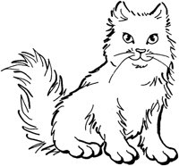 ACT50052.TIF