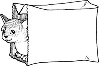 ACT50051.TIF