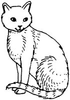 ACT50050.TIF